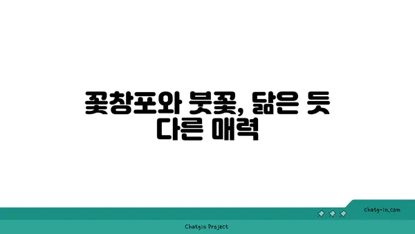 꽃창포의 매력에 빠지다| 꽃말, 전설, 재배 방법 | 꽃창포, 붓꽃,  꽃, 식물, 재배, 전설, 꽃말