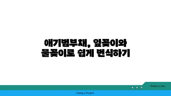 애기범부채 키우기 완벽 가이드 | 잎꽂이, 물꽂이, 번식, 관리법, 효능