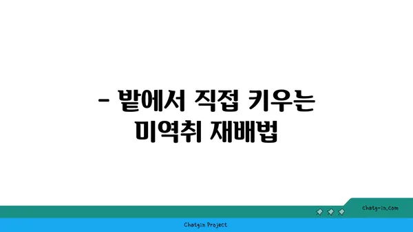 미역취 효능과 부작용 완벽 정리 | 섭취 방법, 재배, 효능, 주의 사항