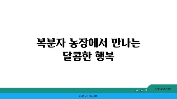 복분자딸기 효능과 재배 방법 | 복분자, 효능, 재배, 농장, 건강