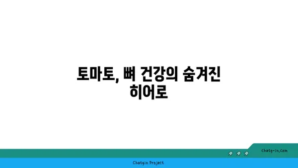 토마토의 놀라운 효능| 골 건강을 위한 비밀 | 토마토, 골다공증 예방, 칼슘 흡수, 건강 식단