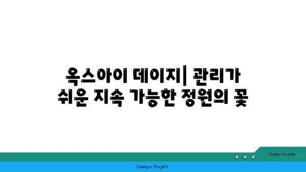 옥스아이 데이지| 지속 가능한 정원을 위한 완벽한 선택 | 지속 가능한 정원, 친환경 정원, 옥스아이 데이지, 꽃, 식물