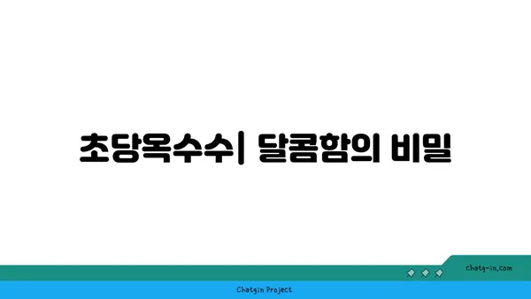 초당옥수수| 자연이 선물한 달콤함, 요리의 풍미를 더하다 | 초당옥수수 레시피, 효능, 맛있게 먹는 방법