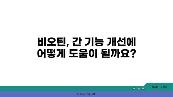 비오틴으로 간 건강 지키기| 간 기능 개선을 위한 비오틴 활용법 | 비오틴, 간 건강, 간 기능 개선, 영양소