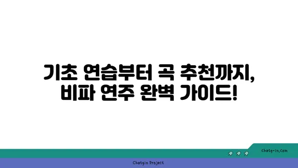 비파 연주 배우기| 초보를 위한 기초 연습법과 곡 추천 | 비파, 악기, 연주, 레슨, 초보