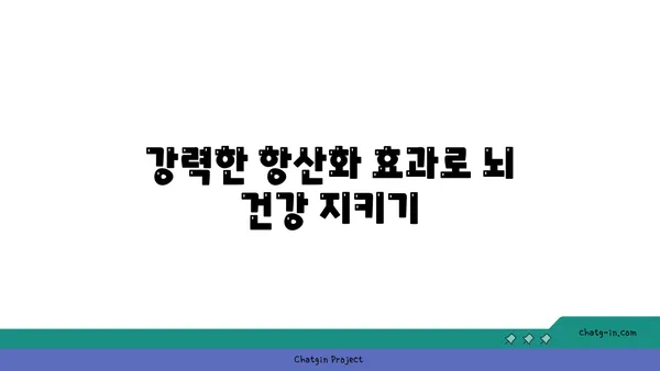 초당옥수수의 신경 보호 효능| 과학적 근거와 잠재적 이점 | 뇌 건강, 항산화, 신경세포 보호, 연구 결과