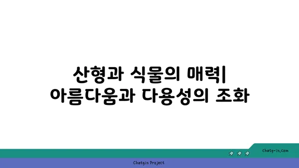 산형과 식물의 매력| 종류별 특징과 재배 가이드 | 산형과, 약용식물, 허브, 꽃, 식물 정보