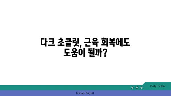 다크 초콜릿, 운동 효과를 높일 수 있을까? | 다크 초콜릿, 운동, 건강, 효능, 연구 결과