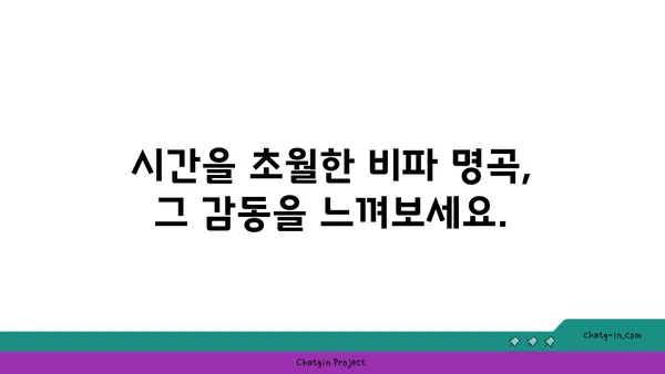 비파 명곡| 시간을 초월한 걸작들 | 비파 연주, 전통 음악, 명곡 감상