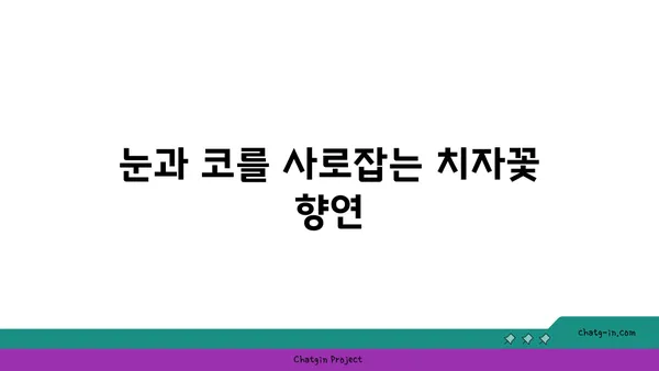 치자나무의 매력, 꽃과 열매, 그리고 효능까지 | 치자, 꽃차, 약용, 재배