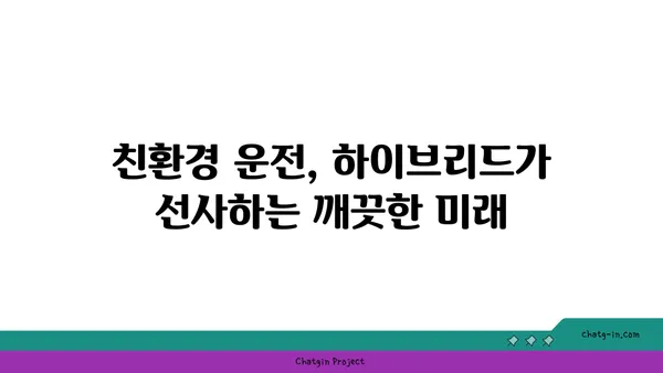 하이브리드 자동차 편견, 이제는 깨부숴! | 장점과 효율성, 실제 주행 경험 공유