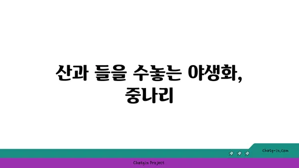 중나리 꽃의 매력, 만나보세요! | 야생화, 백합과, 꽃말, 재배