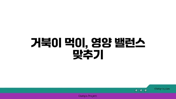 거북이 키우기 완벽 가이드| 종류별 특징부터 건강 관리까지 | 거북, 파충류, 애완동물, 사육, 건강