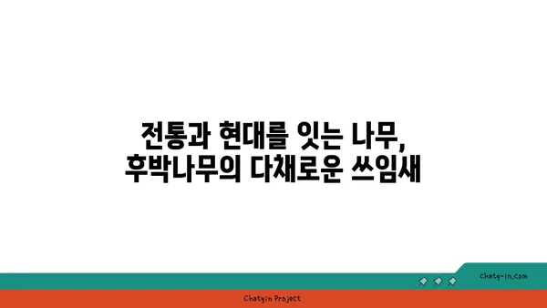 후박나무의 모든 것|  특징, 효능, 재배, 그리고 전설 |  나무, 약용식물, 전통지식, 생태