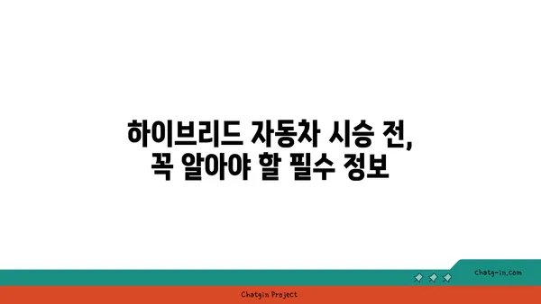 하이브리드 자동차 시험 주행 가이드| 최적의 경험을 위한 단계별 안내 | 하이브리드, 시승, 전기차, 연비, 주행 팁