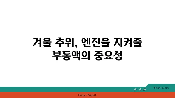 겨울철 자동차 관리 필수템! 부동액 종류별 특징 & 교체 시기 완벽 가이드 | 자동차 관리, 겨울철, 부동액, 냉각수