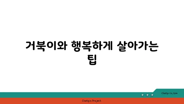 거북이 키우기 완벽 가이드| 종류별 특징부터 건강 관리까지 | 거북, 파충류, 애완동물, 사육, 건강