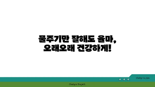 율마 키우기 완벽 가이드| 햇빛, 물주기, 분갈이, 병충해 관리까지 | 율마, 허브, 식물 키우기, 실내 정원