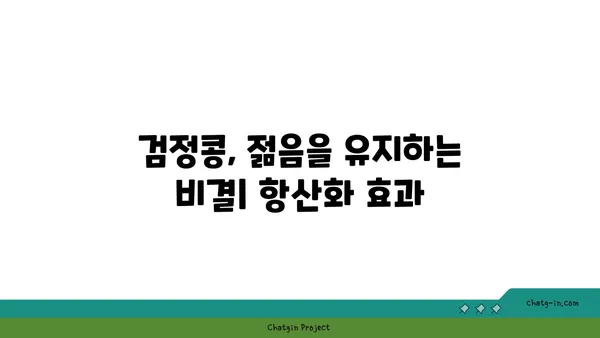 검정콩의 놀라운 효능, 과학적으로 증명된 7가지 이유 | 검정콩 효능, 건강 식품, 혈액순환, 항산화