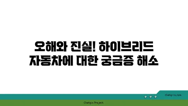 하이브리드 자동차 편견, 이제는 깨부숴! | 장점과 효율성, 실제 주행 경험 공유