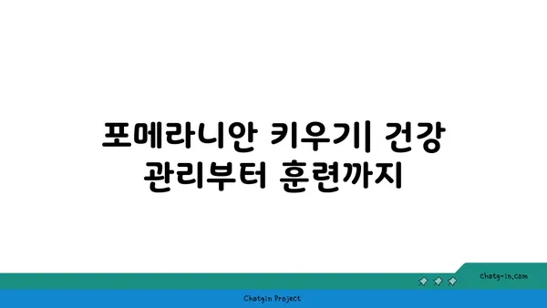 포메라니안 입양 가이드| 건강하고 행복한 삶을 위한 완벽한 준비 | 포메라니안 분양, 포메라니안 특징, 포메라니안 키우기