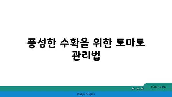 가정에서 토마토 풍년을 위한 완벽 가이드| 성공적인 수확을 위한 팁 | 토마토 재배, 베란다텃밭, 가정원예