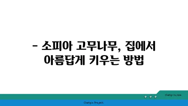 소피아 고무나무 키우기 완벽 가이드 | 실내 식물, 관리법, 번식, 병해충