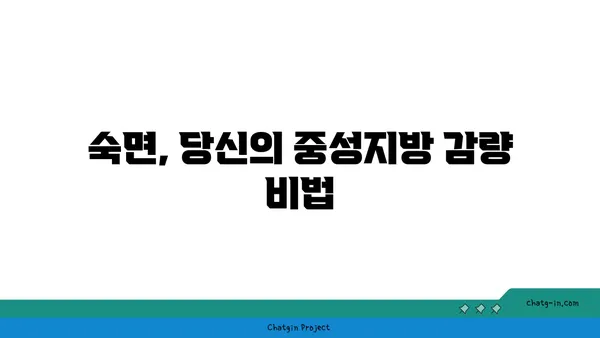 숙면이 중성지방을 줄인다? 잠과 건강의 놀라운 연결 | 수면, 중성지방, 건강, 팁, 가이드