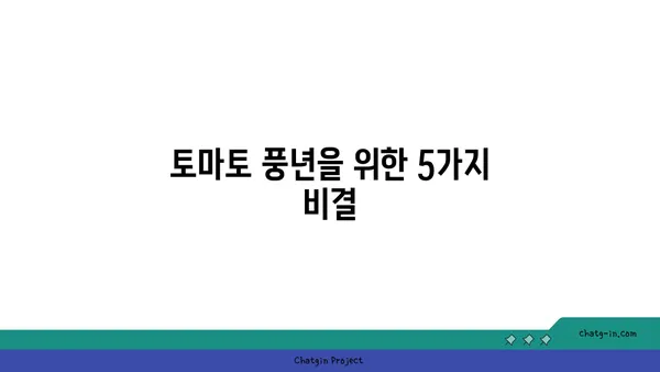 가정에서 토마토 풍년을 위한 완벽 가이드| 성공적인 수확을 위한 팁 | 토마토 재배, 베란다텃밭, 가정원예