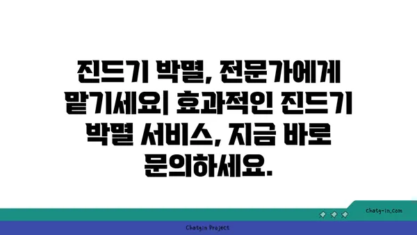 진드기 박멸 완벽 가이드| 종류별 특징 & 효과적인 제거 방법 | 진드기, 진드기 제거, 진드기 종류, 진드기 박멸