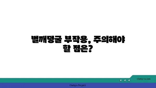 벌깨덩굴, 약초로 알아보는 효능과 부작용 | 벌깨덩굴 효능, 벌깨덩굴 부작용, 벌깨덩굴 차, 벌깨덩굴 식용