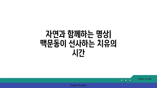 맥문동과 영적 실천| 안녕과 균형 찾기 | 명상, 자연, 치유, 마음