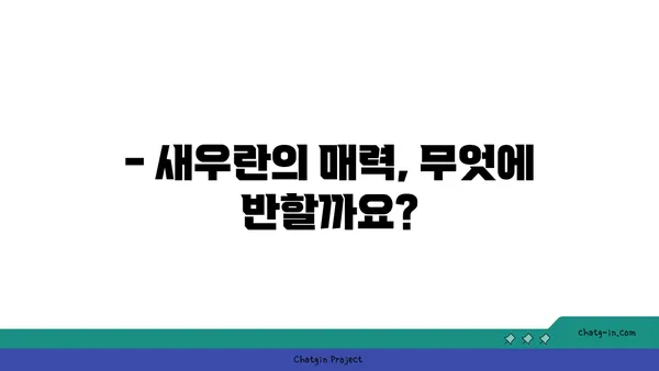 새우란의 매력에 빠지다| 종류별 특징과 키우는 방법 | 새우란, 난초, 식물 키우기, 취미