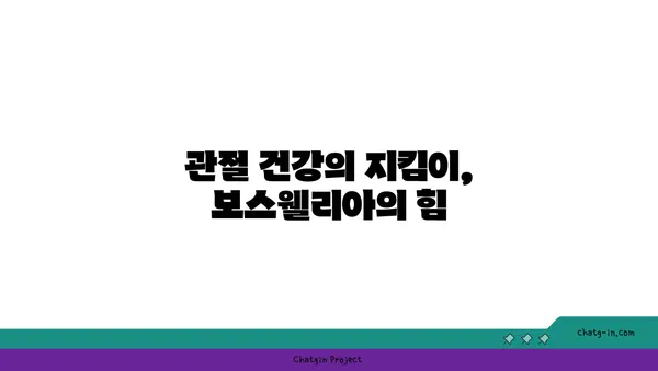 보스웰리아의 놀라운 효능| 염증 완화부터 관절 건강까지 | 보스웰리아, 건강, 효능, 염증, 관절, 천연, 항염증