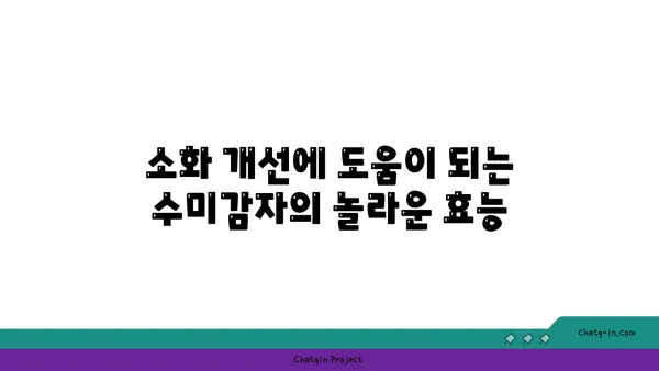 수미감자| 섬유질 풍부, 소화 건강을 위한 최고의 선택 | 건강 식단, 섬유질, 소화 개선, 영양 정보