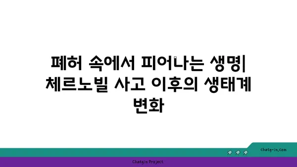 체르노빌 원전사고| 역사, 영향, 그리고 교훈 | 원전 안전, 방사능, 재해, 우크라이나