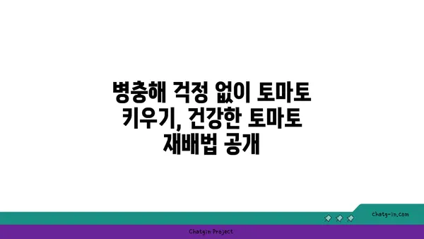 토마토 맛있게 키우는 꿀팁| 집에서 쉽게 성공하는 재배 가이드 | 토마토, 재배, 텃밭, 꿀팁, 가이드