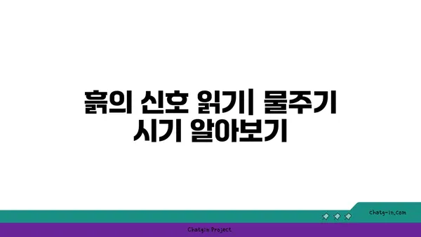 식물을 위한 완벽한 물주기 가이드 | 식물 관리, 물주기 팁, 건강한 식물 키우기