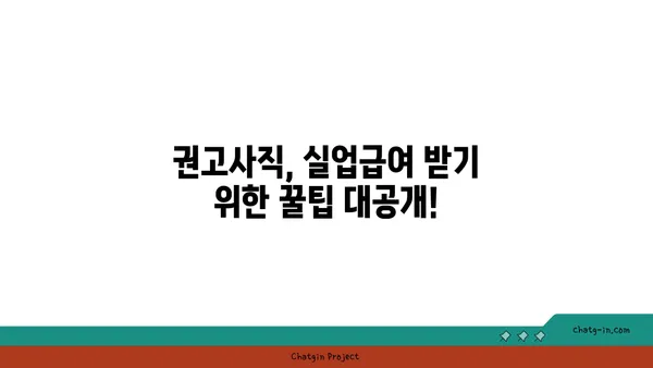 권고사직, 걱정 마세요! 실업급여 신청 가이드 | 권고사직, 실업급여, 신청 방법, 자격 요건