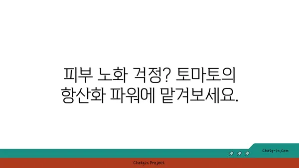 토마토의 놀라운 효능! 피부 건강을 위한 비밀 | 토마토, 피부 미용, 항산화, 비타민C