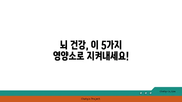 심뇌 건강 지키는 5가지 비타민 & 미네랄 | 뇌 건강, 기억력, 집중력, 영양소, 건강 정보