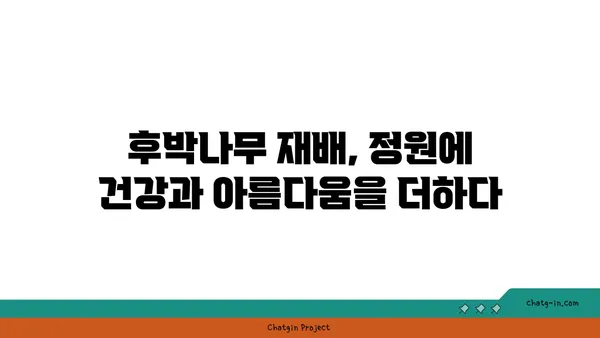 후박나무의 모든 것|  특징, 효능, 재배, 그리고 전설 |  나무, 약용식물, 전통지식, 생태