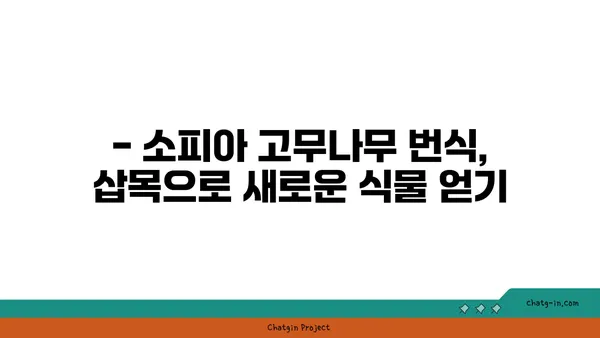 소피아 고무나무 키우기 완벽 가이드 | 실내 식물, 관리법, 번식, 병해충