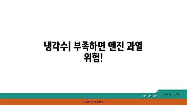 엔진룸 점검 가이드| 오일류 확인 및 관리 | 자동차 정비, 엔진 오일, 냉각수, 파워 스티어링 오일