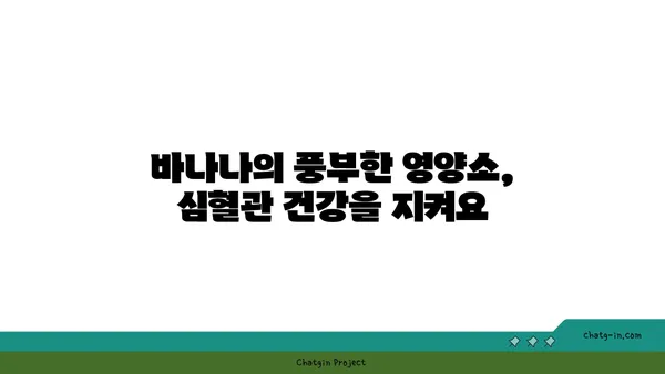 바나나, 심혈관 건강에 어떤 영향을 미칠까요? | 바나나 효능, 심장 건강, 혈압, 콜레스테롤