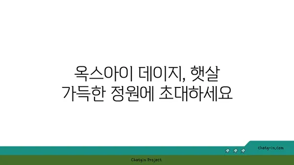 옥스아이 데이지| 야생화 애호가를 위한 매력적인 만남 | 야생화, 꽃말, 재배, 관리