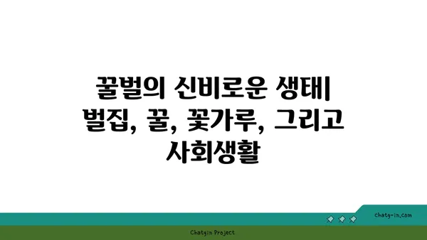 벌의 신비로운 세계| 꿀벌, 말벌, 땅벌 등 다양한 벌의 종류와 특징 알아보기 | 벌 종류, 벌 생태, 벌의 역할