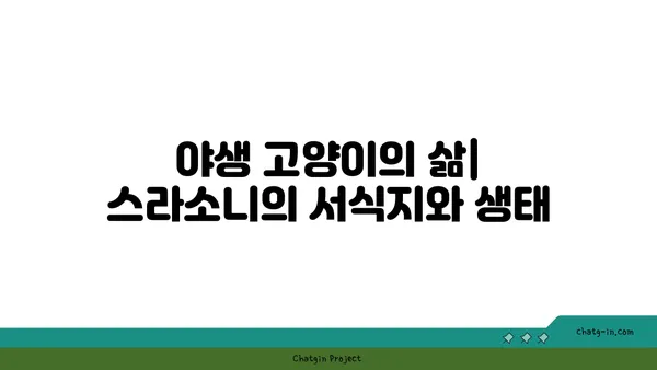 스페인 스라소니| 매혹적인 야생 고양이의 모든 것 | 스라소니, 스페인 야생 동물, 야생 고양이, 서식지, 생태