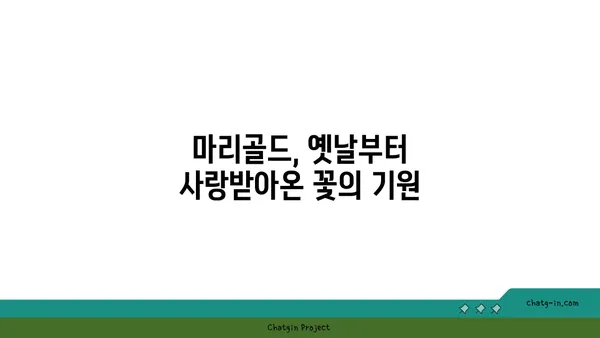 마리골드 꽃말과 전설| 행복을 부르는 꽃의 의미 | 마리골드, 꽃말, 전설, 행복, 의미, 기원