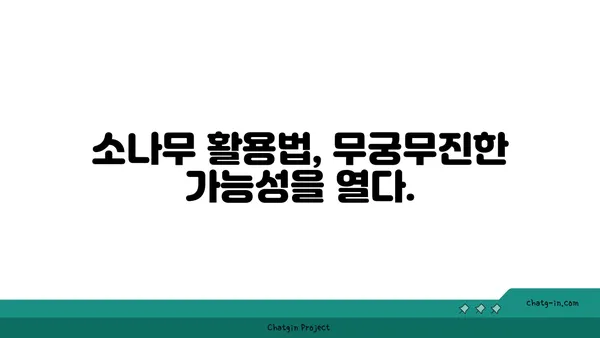 소나무의 놀라운 효능과 활용법| 건강, 미용, 환경까지! | 소나무 효능, 소나무 활용, 소나무 차, 소나무 솔잎